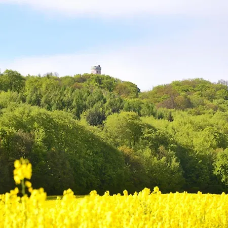 Im Seepark * Sellin (Rugen)