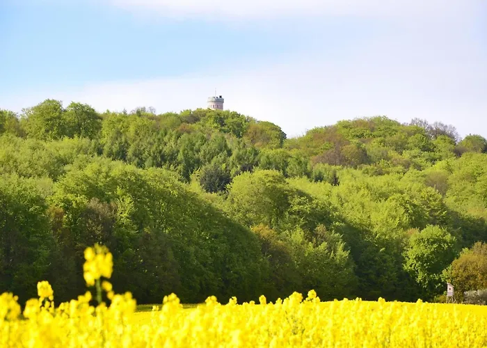 Im Seepark * Sellin (Rugen)